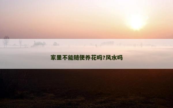 家里不能随便养花吗?风水吗