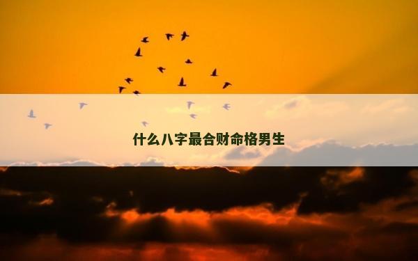 什么八字最合财命格男生