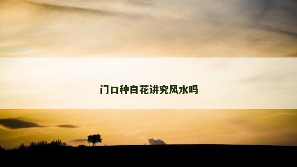 门口种白花讲究风水吗