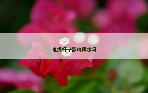 电线杆子影响风水吗