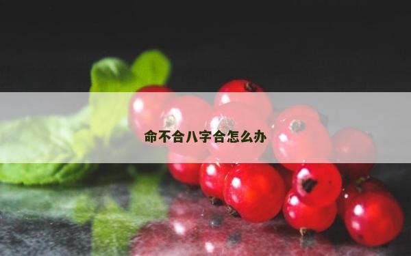 命不合八字合怎么办