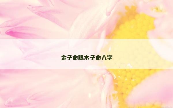 金子命跟木子命八字
