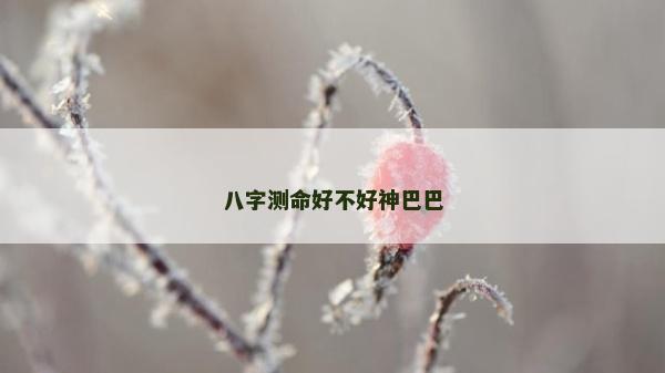 八字测命好不好神巴巴