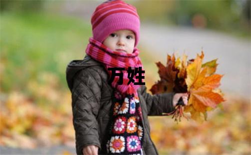 万姓朗朗上口的男孩名字,取什么名字好