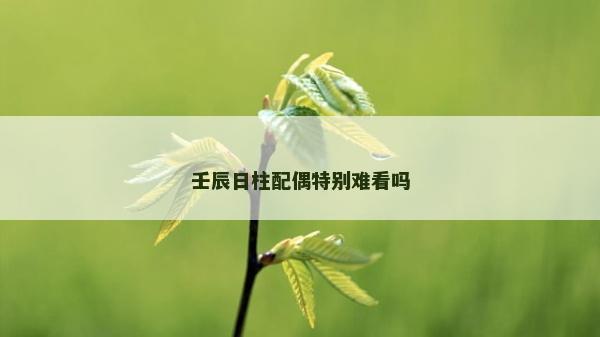 壬辰日柱配偶特别难看吗