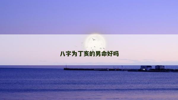 八字为丁亥的男命好吗