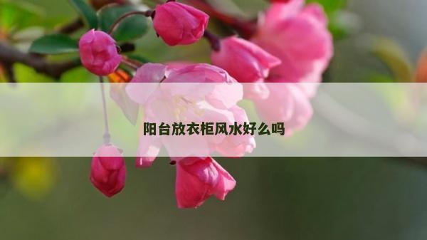 阳台放衣柜风水好么吗