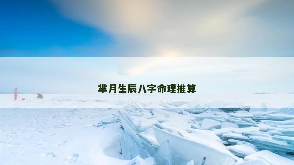 芈月生辰八字命理推算