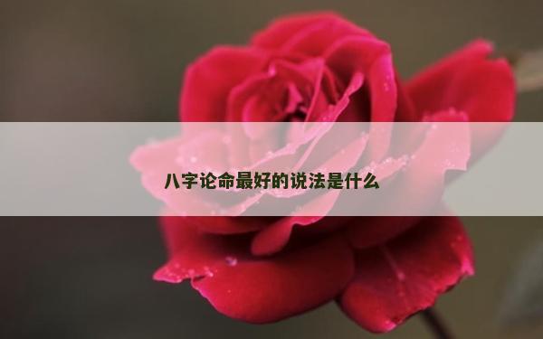 八字论命最好的说法是什么