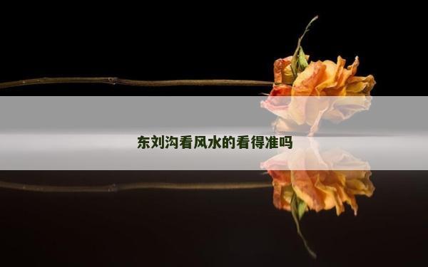 东刘沟看风水的看得准吗