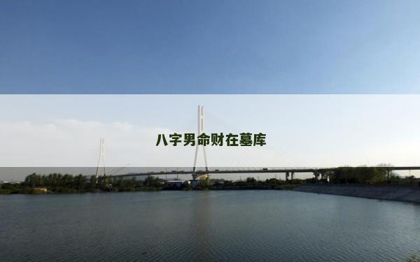 八字男命财在墓库