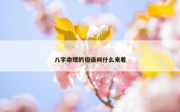 八字命理的俗语叫什么来着