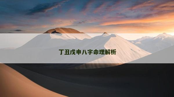 丁丑戊申八字命理解析
