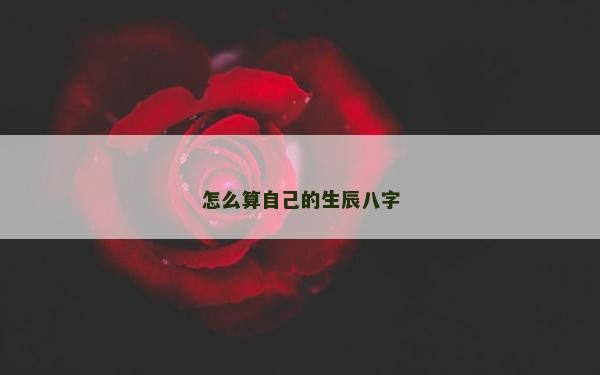 怎么算自己的生辰八字