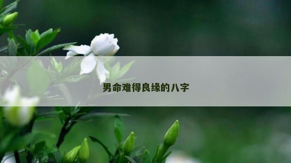男命难得良缘的八字