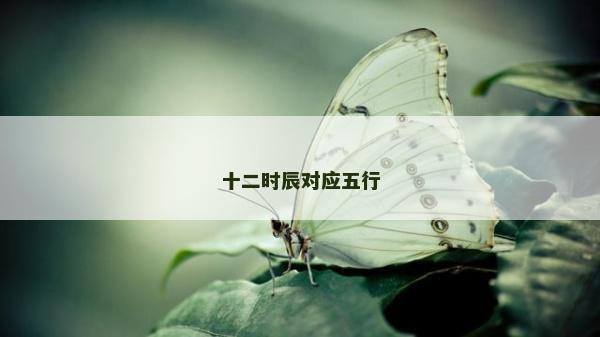 十二时辰对应五行