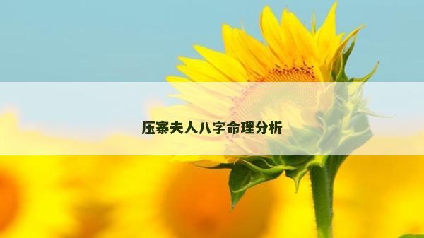压寨夫人八字命理分析