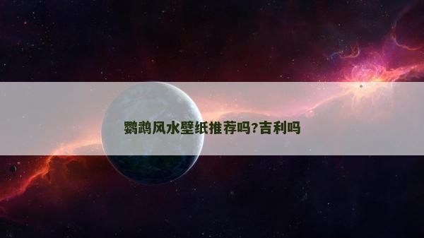 鹦鹉风水壁纸推荐吗?吉利吗
