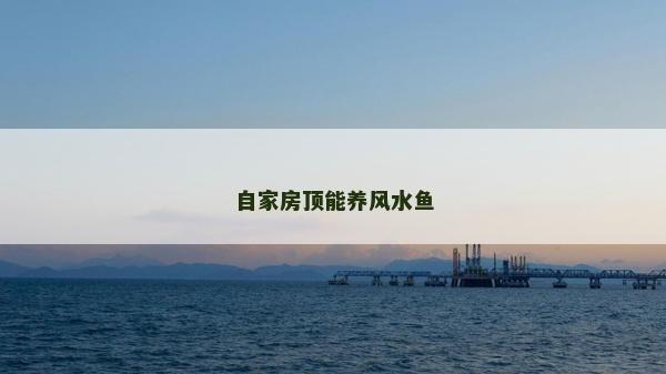 自家房顶能养风水鱼