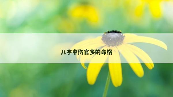八字中伤官多的命格