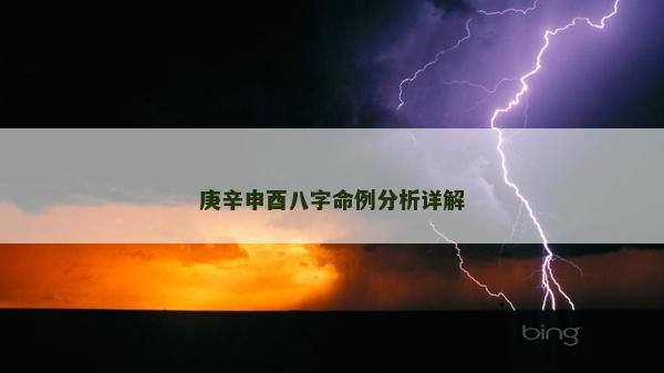 庚辛申酉八字命例分析详解