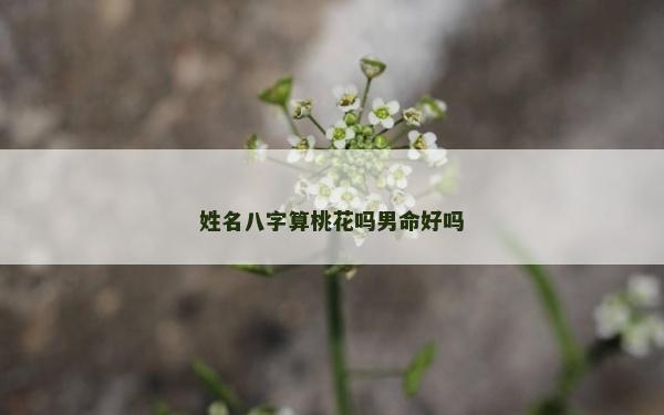 姓名八字算桃花吗男命好吗