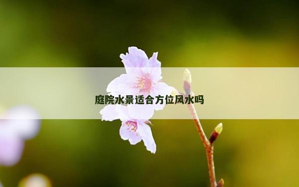 庭院水景适合方位风水吗