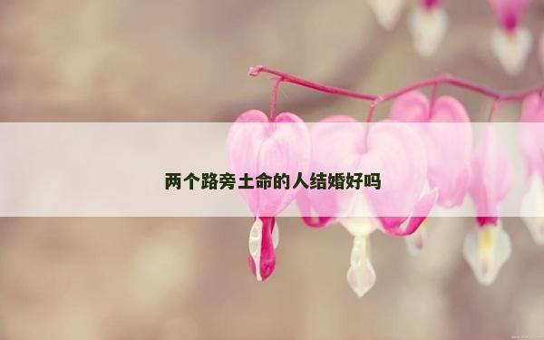 两个路旁土命的人结婚好吗