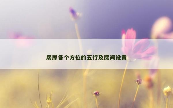 房屋各个方位的五行及房间设置