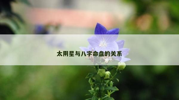 太阴星与八字命盘的关系