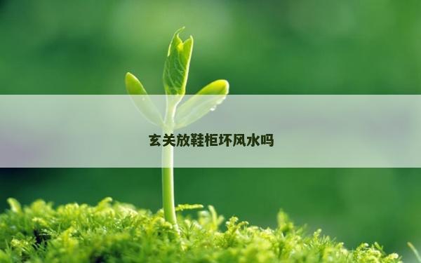 玄关放鞋柜坏风水吗