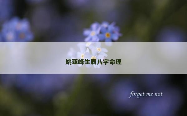 姚亚峰生辰八字命理