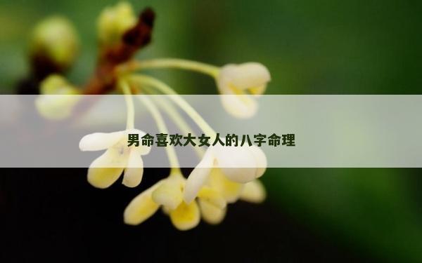男命喜欢大女人的八字命理