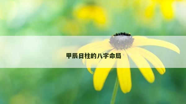 甲辰日柱的八字命局
