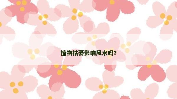 植物枯萎影响风水吗?