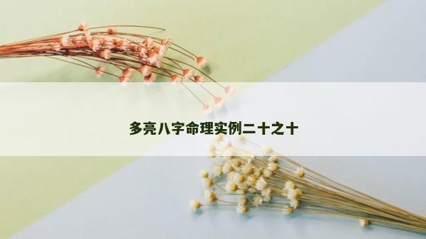 多亮八字命理实例二十之十