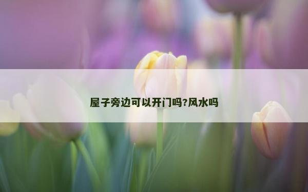 屋子旁边可以开门吗?风水吗
