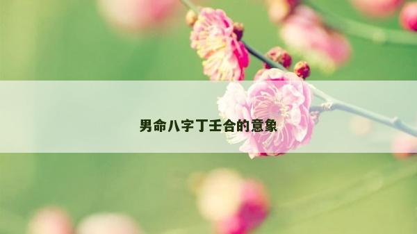 男命八字丁壬合的意象