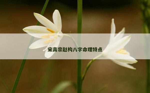 宋高宗赵构八字命理特点