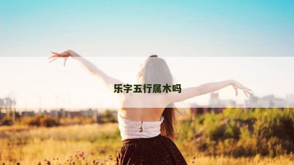 乐字五行属木吗