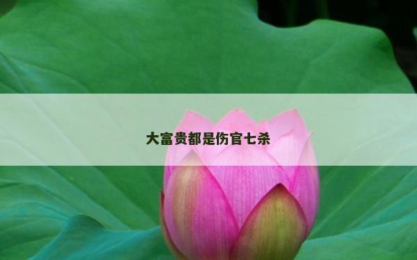 大富贵都是伤官七杀