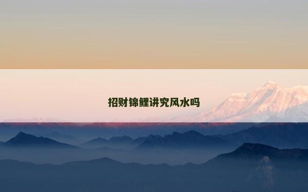 招财锦鲤讲究风水吗