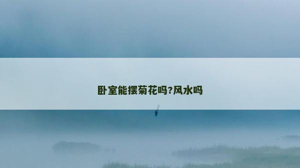 卧室能摆菊花吗?风水吗