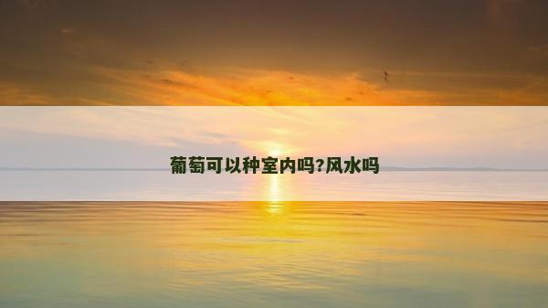 葡萄可以种室内吗?风水吗