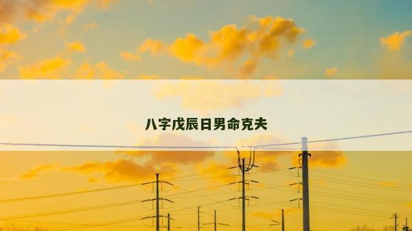 八字戊辰日男命克夫