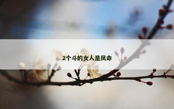 2个斗的女人是凤命