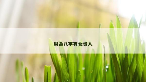 男命八字有女贵人