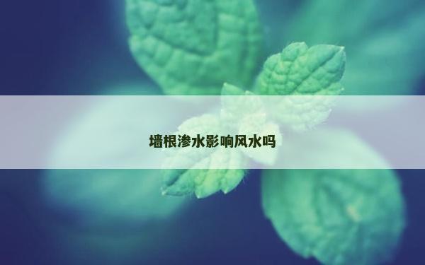 墙根渗水影响风水吗