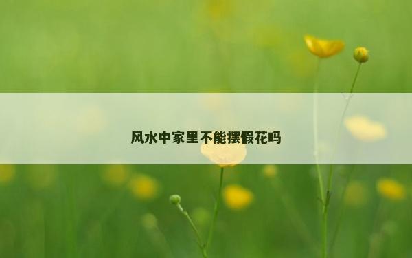 风水中家里不能摆假花吗