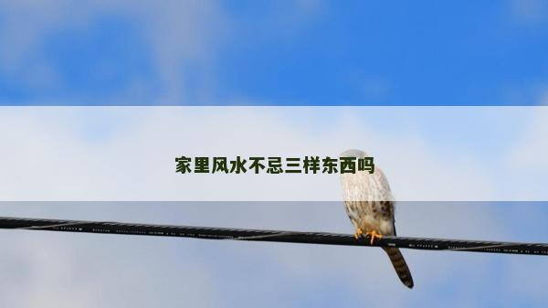 家里风水不忌三样东西吗